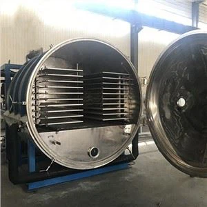 מזון תות לימון מייבש חזה עוף