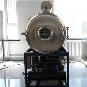 מייבש להקפאה בקנה מידה פיילוט לעיבוד ירקות